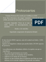 Protozoarios