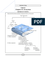 Unit-X Chapter-14. Ecosystem: Important Points