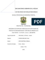 INFORME DE PiP