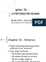 Chapter 16 - : Enterobacteriaceae