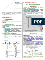 Anatomie06 PDF