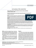 Microsurgical Anatomy of The Central Lobe