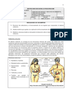 Sistema Endocrino