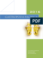 Gastropoda Pacifica, Christophe Avon 2016