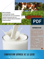 Producción de La Leche en Bolivia