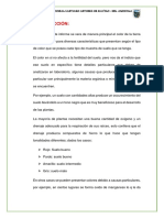 Informe Edafoligia