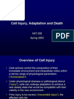 Cell Injury, Adaptation and Death: HST.035 Spring 2003