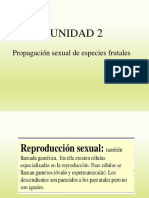 3a Clase (Propagación Sexual de Especies Frutales)