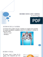 Biomecanica de Cadera