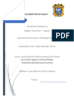 Practica Cervicitis