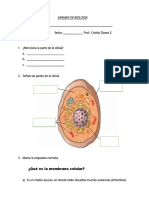 EXAMEN de BIOLOGIA, Historia y Geografia 5 Primaria