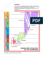 Evolución de Los Mamíferos