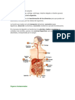 Dossier en Construccion