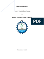 Internship Report Tunnel Farming in Pakistan