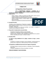 Formato 15 - Plan Seguridad y Salud Ocupacional