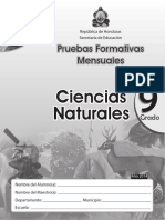 Pruebas Formativas 9 Naturales