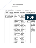 Plan de Cuidados de Enfermerìa