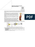 Neuroanatomia Ufro