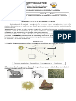 Guía de Aprendizaje #1 Flujo de Energía y Materia