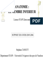 Anatomie Des Membres Inferieurs PDF