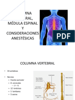 Anestesia en Columna