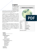 Streptococcus Pyogenes