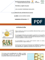 6.2 Calibracon Del Sistema Roca Fluidos PDF