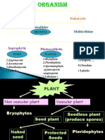 Prokaryote Eukaryote: Unicellular Multicellular