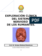 Neuropatologia de Los Rumiantes