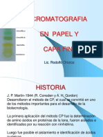 Cromatografia en Papel y CF