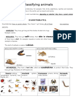 Classifying Animals