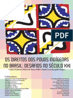 Os Direitos Dos Povos Indígenas No Brasil - Desafios No Século XXI