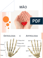 Mão 2017 PDF