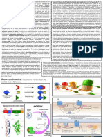 Monografia Equipo6 Farmacodinamia