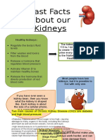 Fast Facts About Our Kidneys