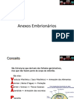 Anexos Embrionarios