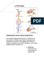 Anatomía y Fisiología