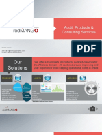 RedMango - Product Audit Services Portfolio PDF