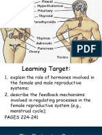 Endocrine System