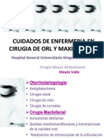 Cuiddaos de Enfermeria en ORL y Maxiofacial en CMA PDF