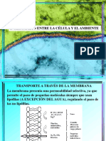 Transporte de Moleculas