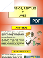 Reptiles y Anfibios