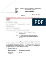 Modelo de Informe PDF