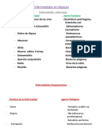 Enfermedades Infecciosas en Alpacas