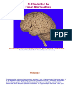 HBTRC Neuroanatomy 2014.1 PDF