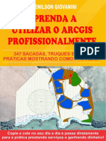 Livro Aprenda A Utilizar o ArcGIS Profissionalmente