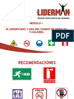 Curso 08 Modulo 1 El Significado y El Uso Del Código de Señales y Colores