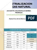 Industrializacion Del Gas Natural (Udabol)