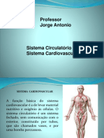 Aula de Sistema Circulatório