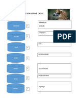 Classification of Philippine Eagle